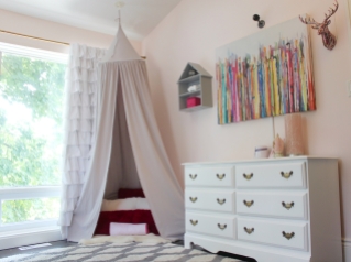 Toddler Girl Pink Room Canopy
